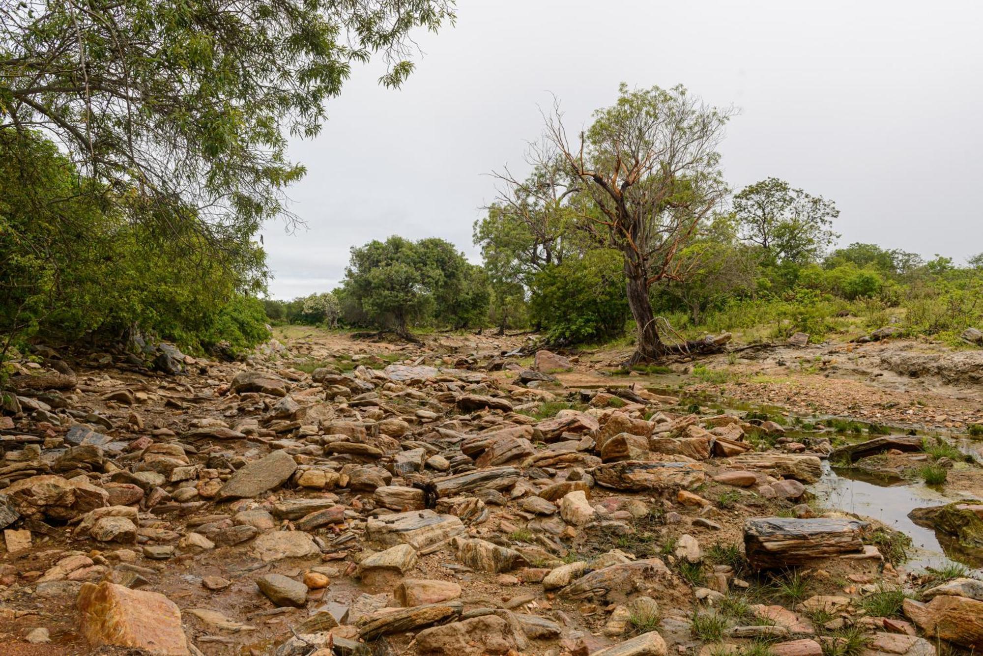 Fazenda Poco Das Pedras Sao Joao do Cariri ภายนอก รูปภาพ
